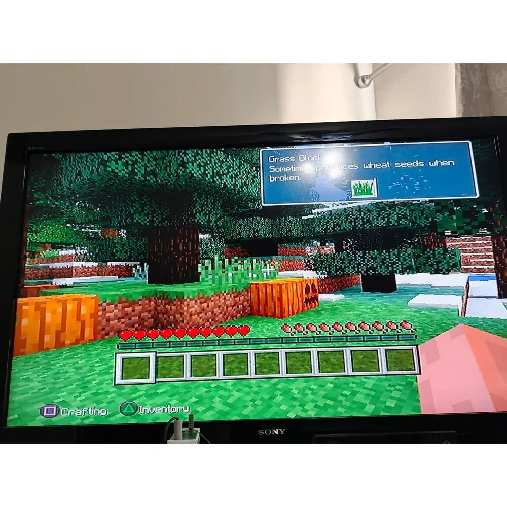 Minecraft PlayStation 3 Edition Case+Disc
